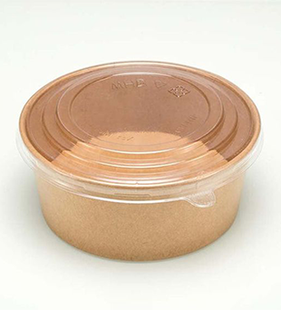 Paper Bowl